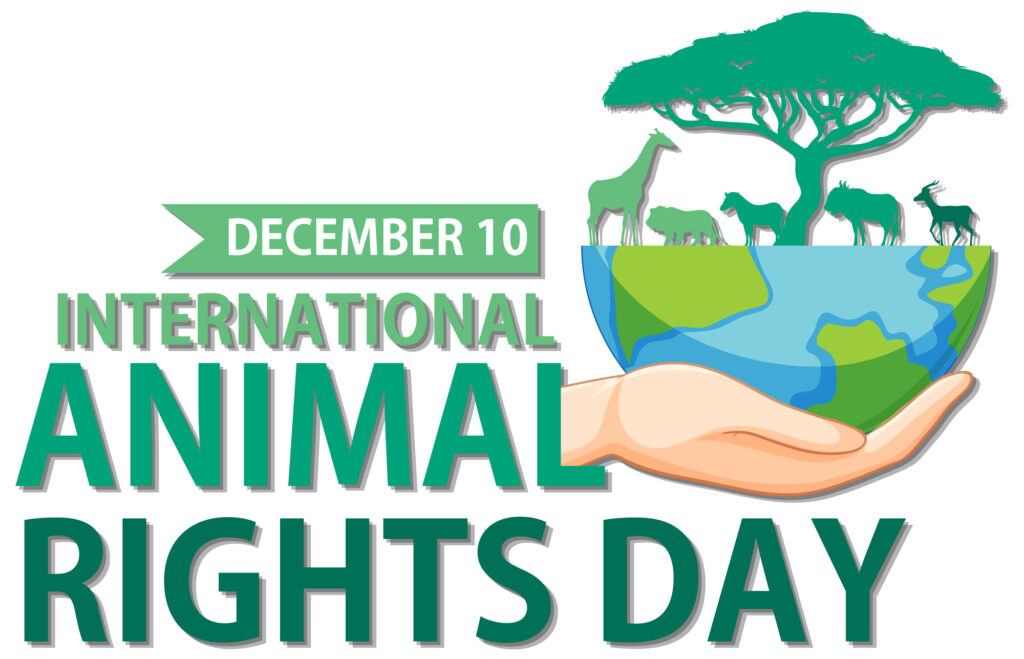 International Animal Rights Day